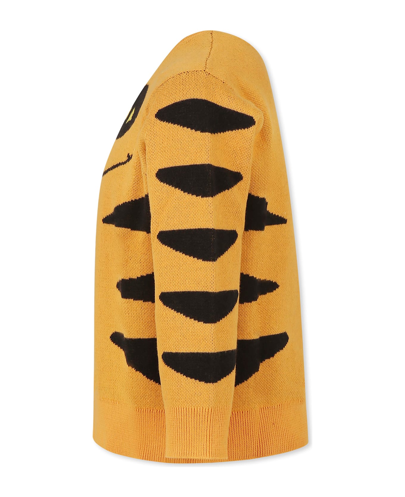 Stella McCartney Kids Orange Sweater For Boy With Cat - Orange