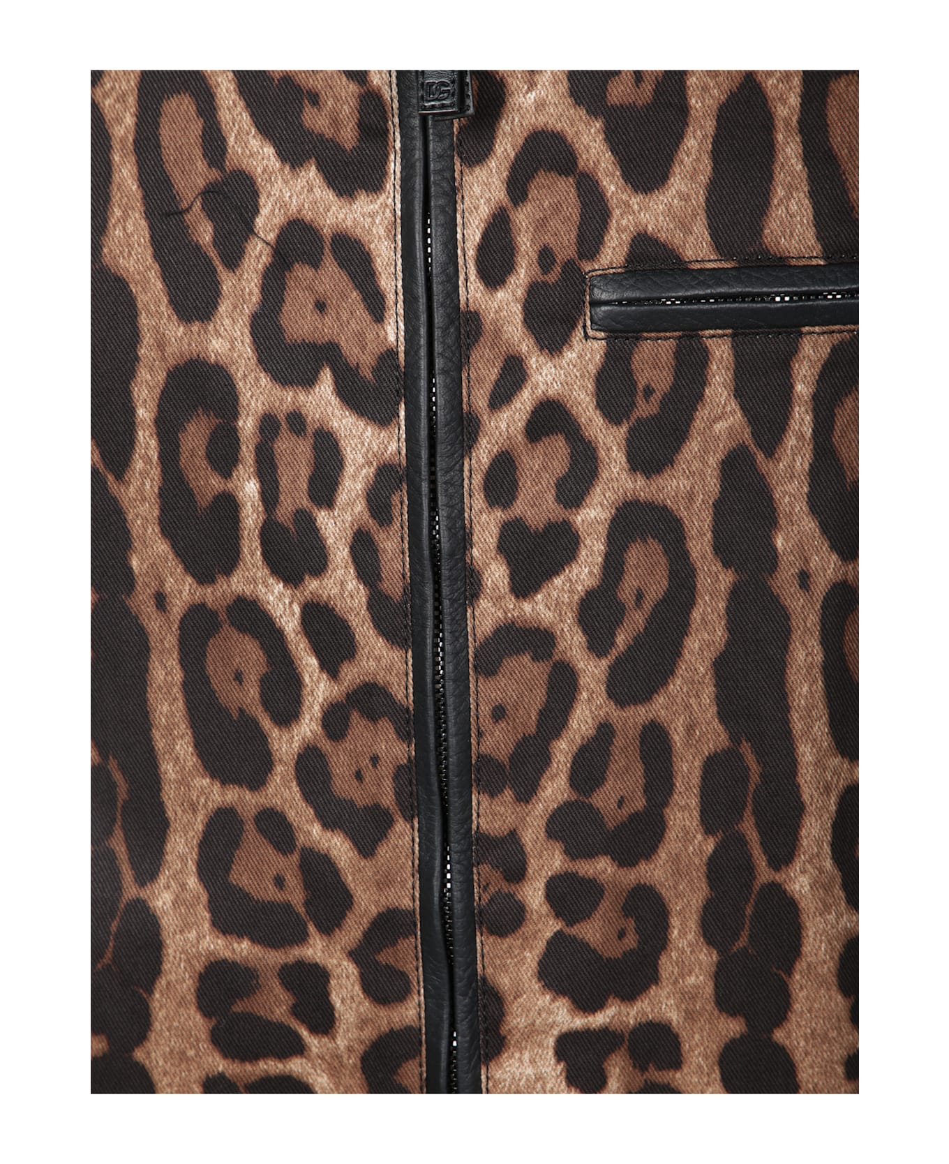 Dolce 
Gabbana Leopard Print Jacket With Black Leather Collar - Multi