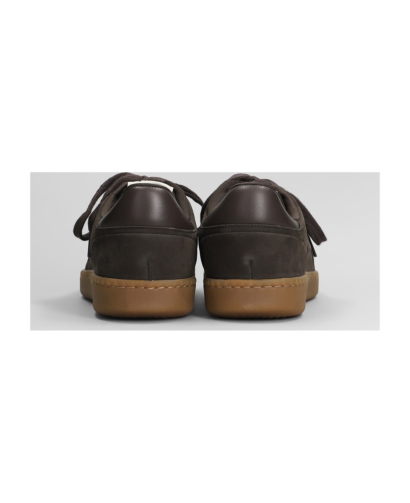 Ash Siena Sneakers In Brown Nubuck - brown