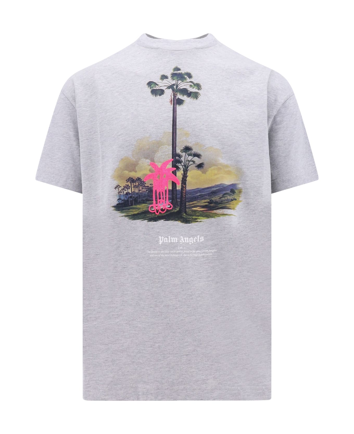 Palm Angels Douby Lost In Amazonia T-shirt - Grey