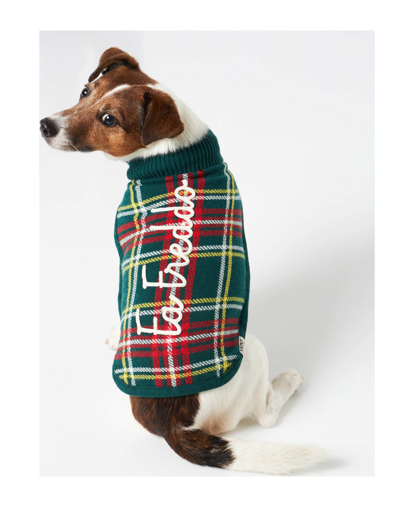 MC2 Saint Barth Dog Sweater With Tartan Jacquard - GREEN