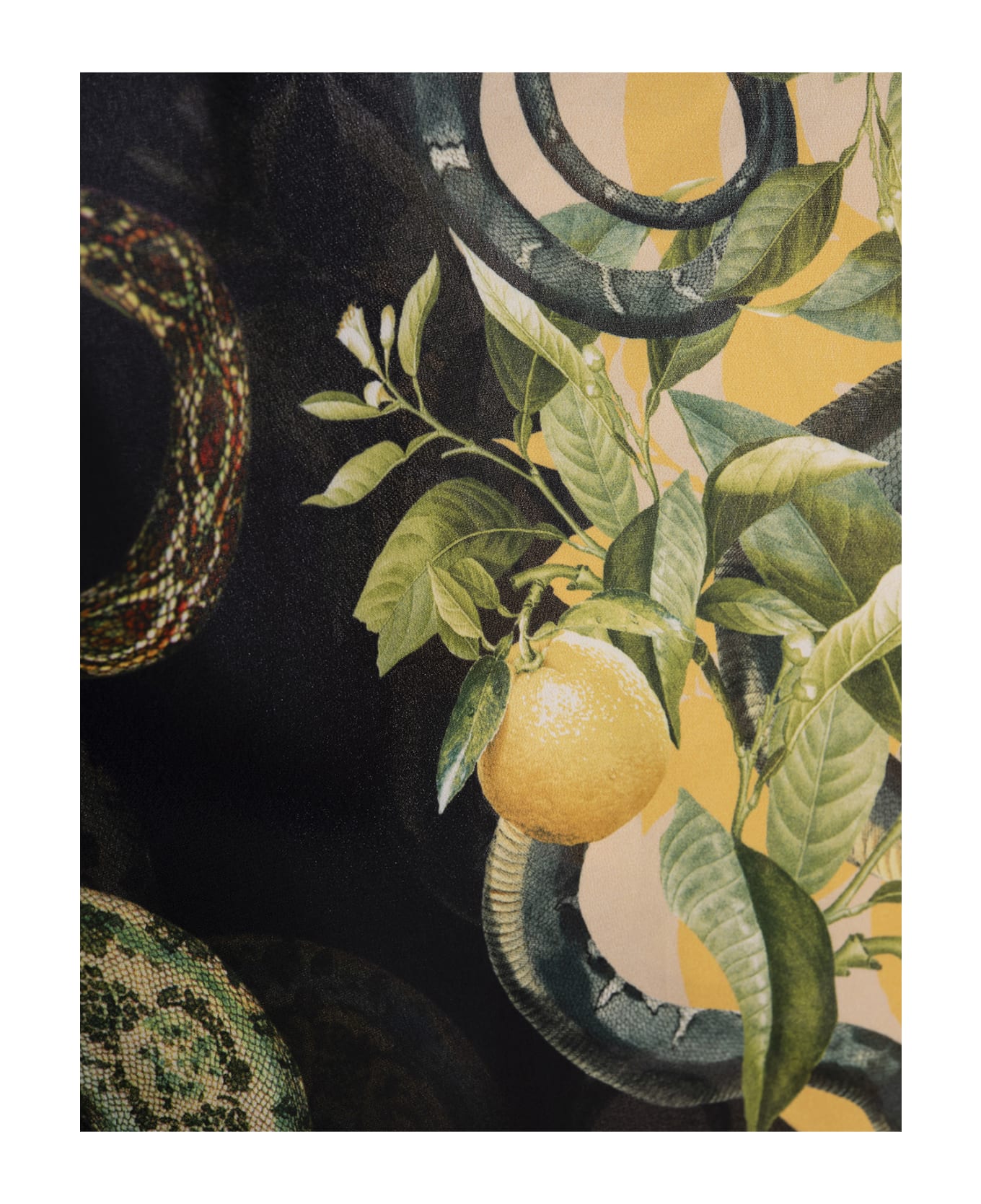 Roberto Cavalli Long Caftan With Lemons Print - Black ワンピース＆ドレス