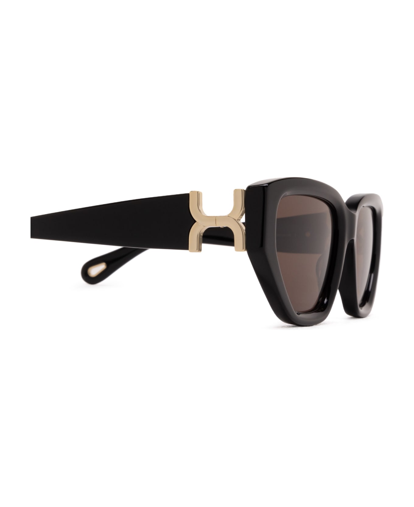 Chloé Eyewear Ch0235s Black Sunglasses - Black