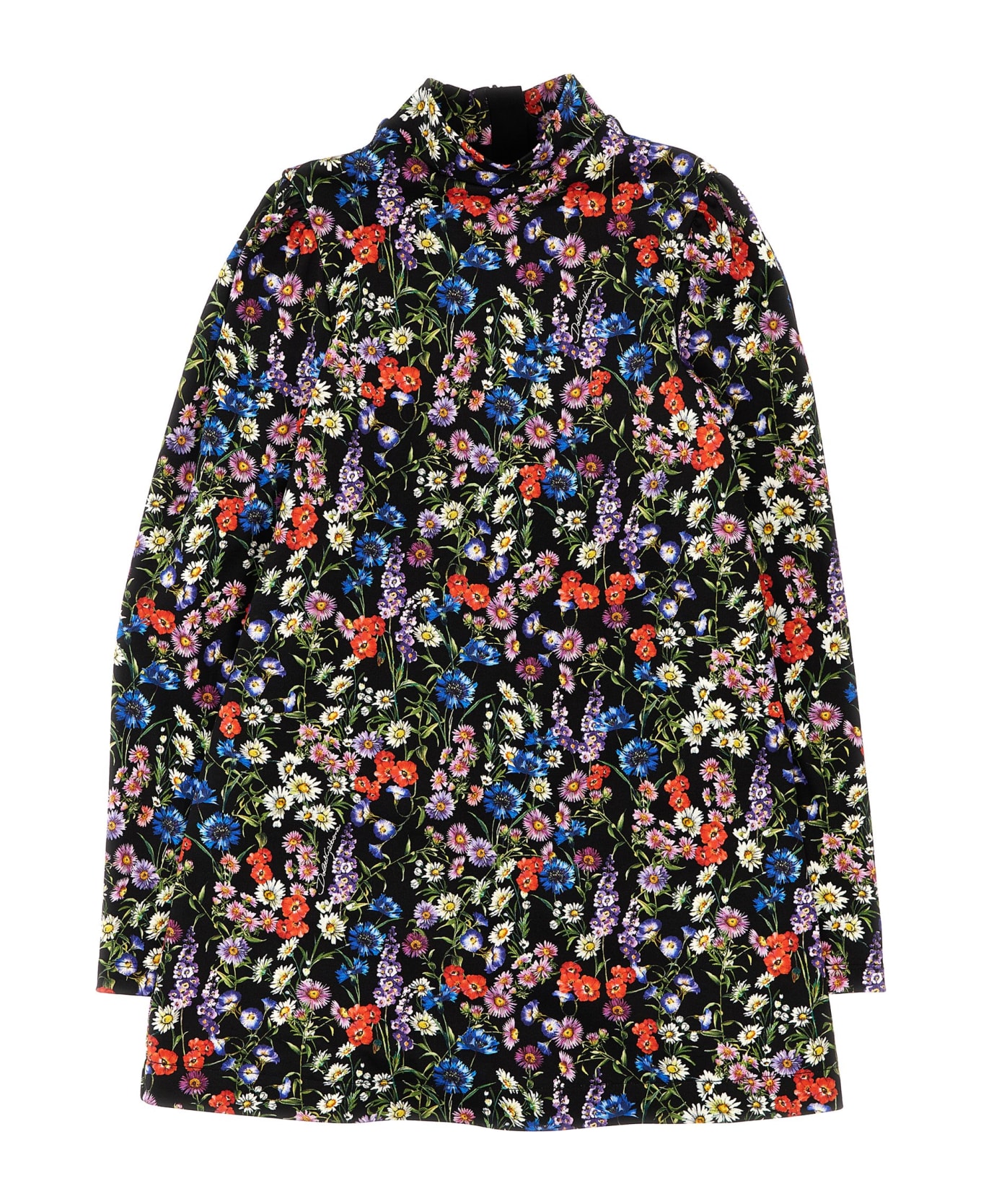 Dolce & Gabbana 'fiori Di Campo' Dress - Multicolor