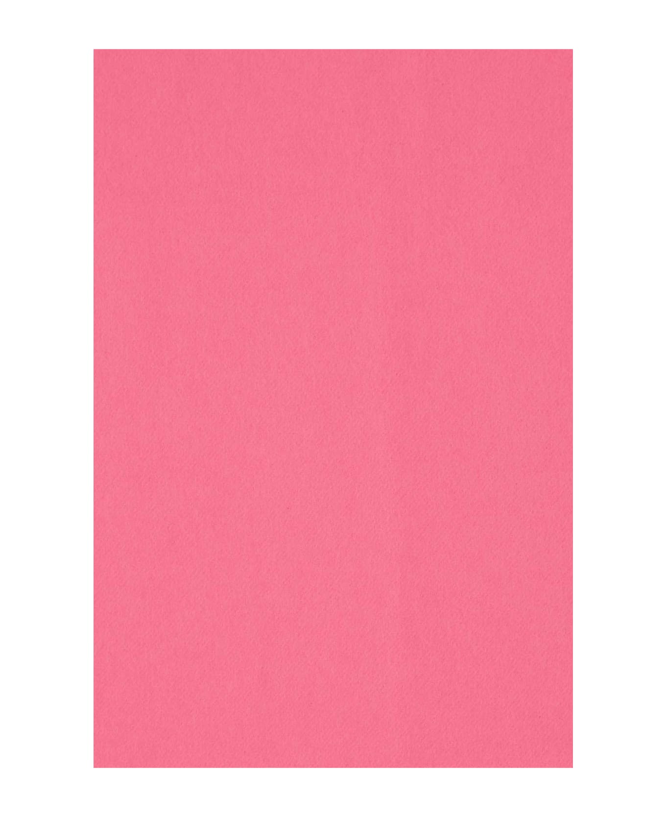 Alexander McQueen Pink Cashmere Blend Scarf - 5900