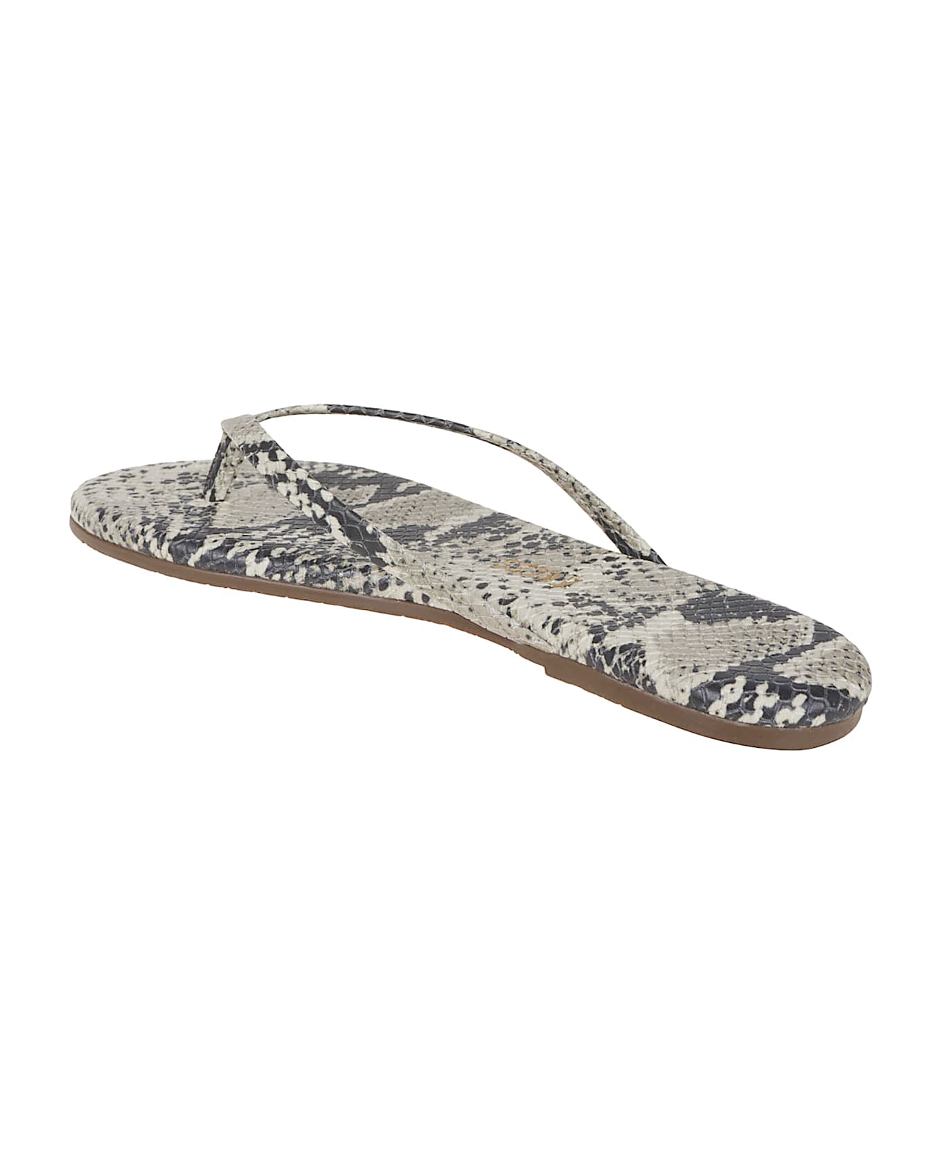 Tkees Studio Exotic - Studio Exotic Sand Snake