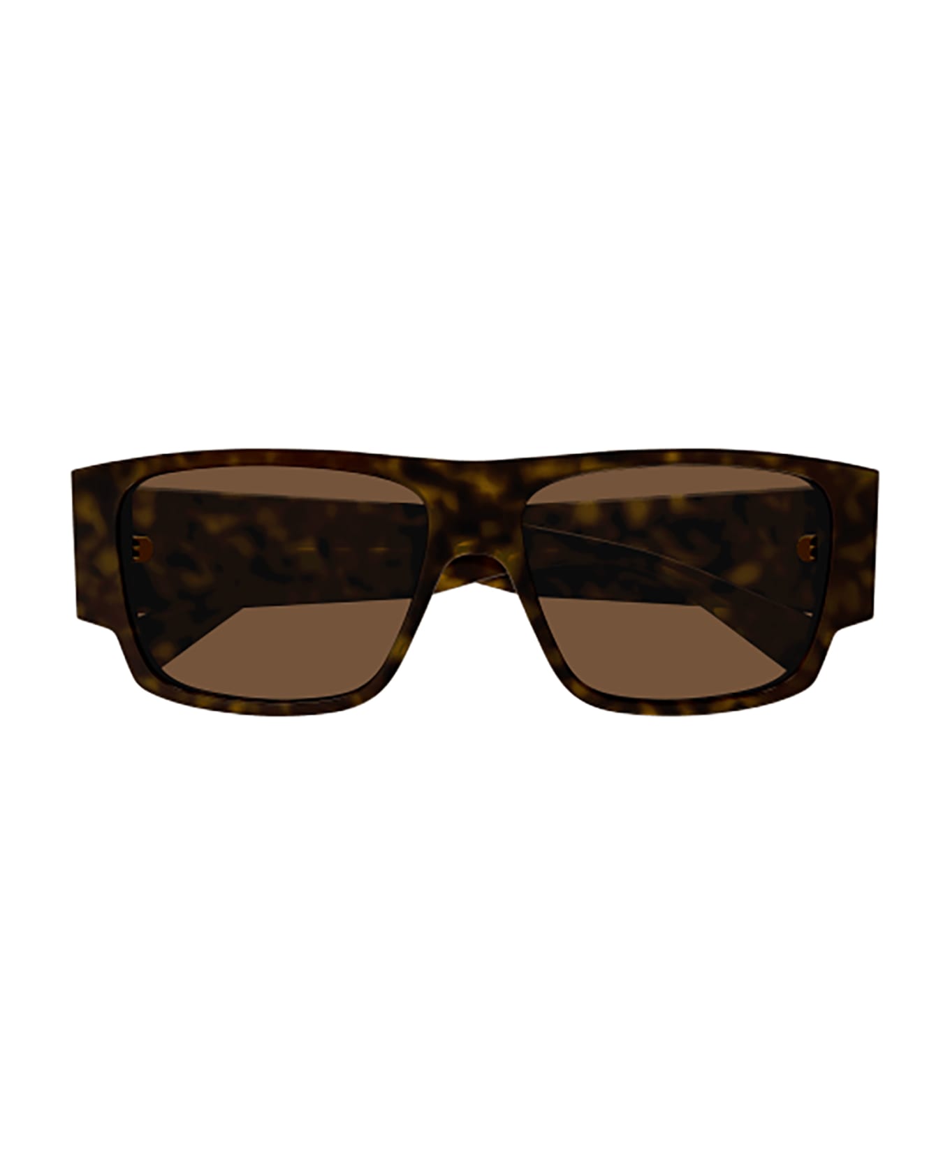 Bottega Veneta Eyewear BV1286S Sunglasses - Havana Havana Brown サングラス