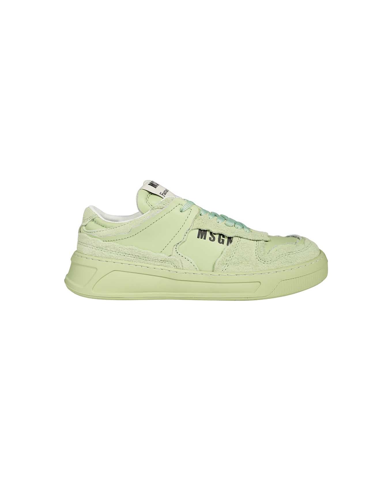MSGM Low-top Sneakers - green