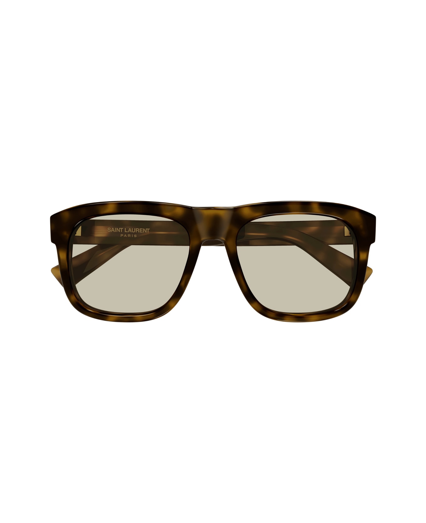 Saint Laurent Eyewear Saint Laurent Sl 558 Sl Logo 013 Havana Brown Sunglasses - Marrone