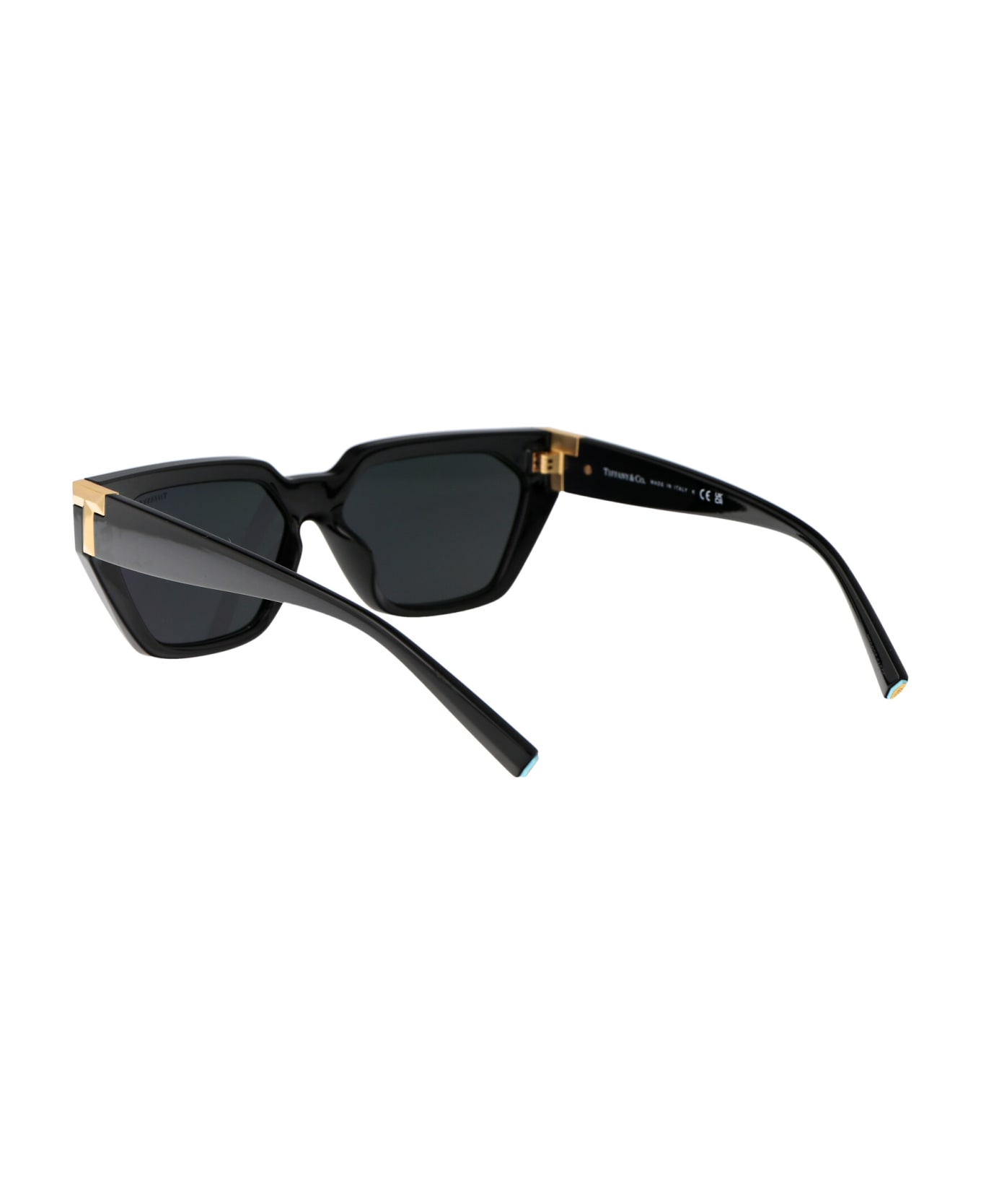 Tiffany & Co. 0tf4205u Sunglasses - 8001S4 Black