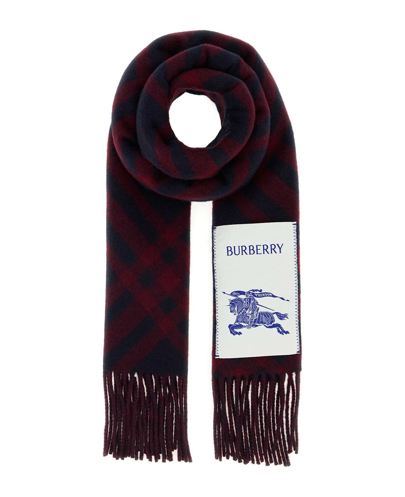 Burberry Embroidered Cashmere Scarf - INKBLUE
