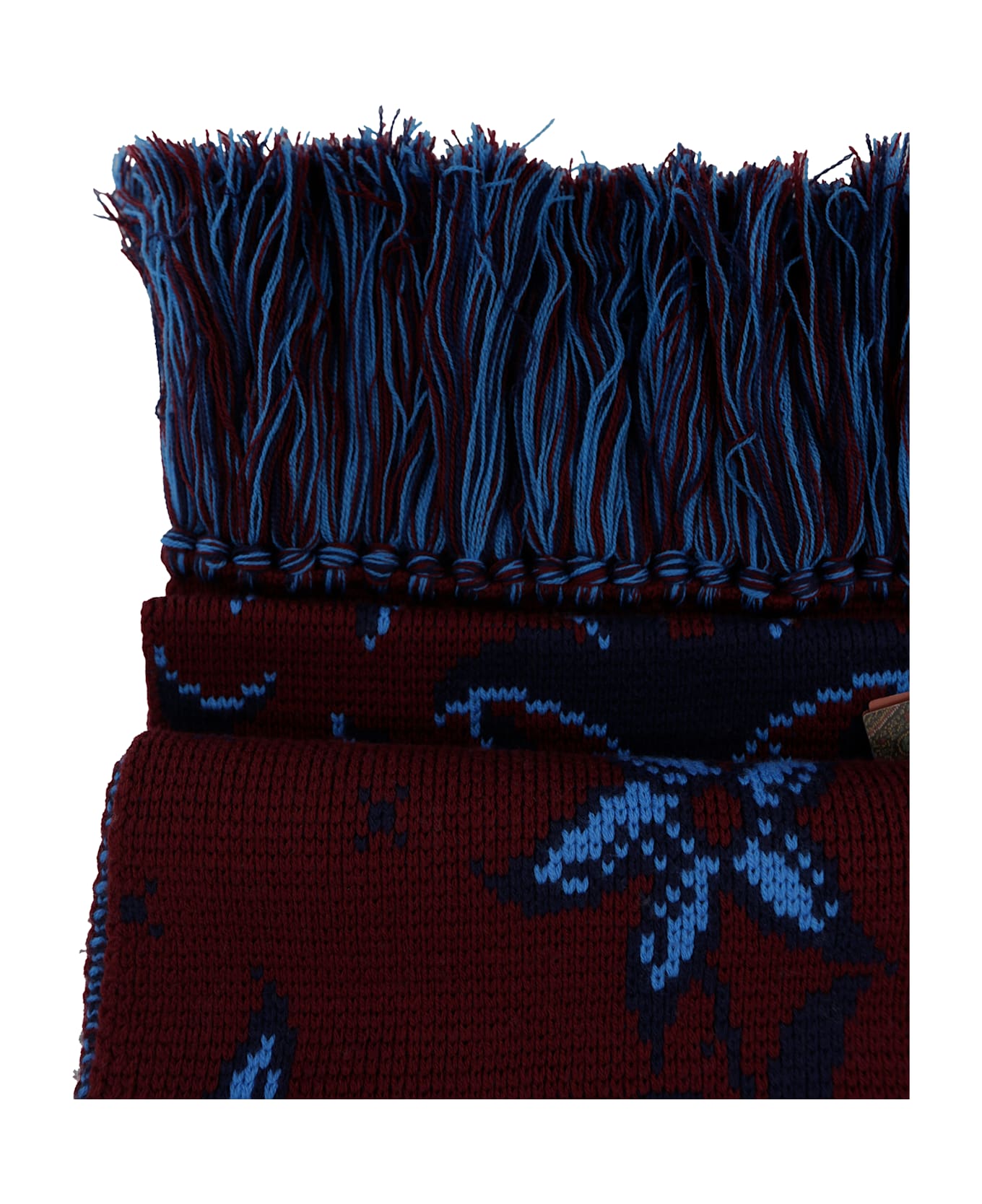 Etro Jacquard Scarf With Fringes - Purple