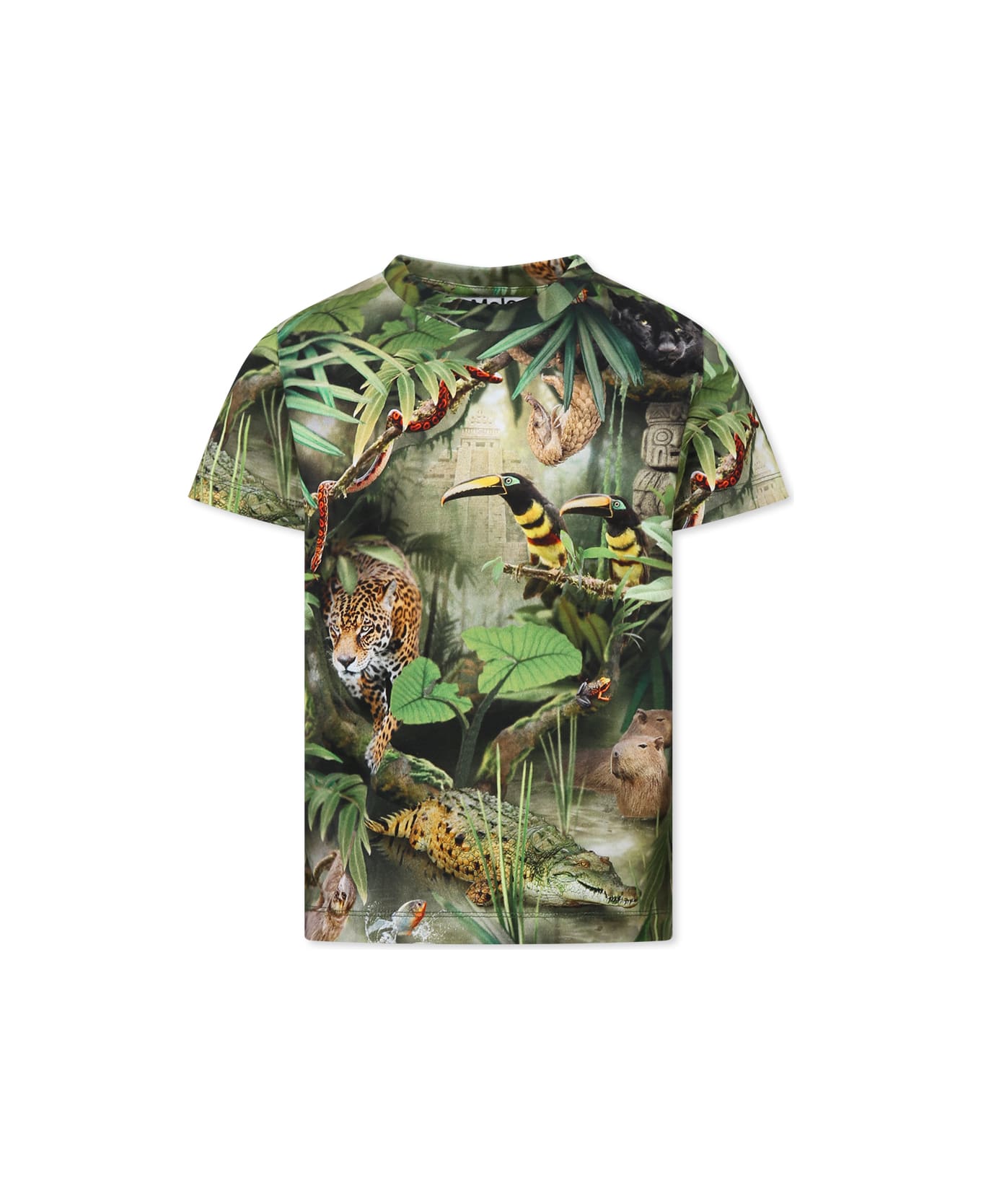 Molo Green T-shirt For Boy With Jungle Animal Print - Green