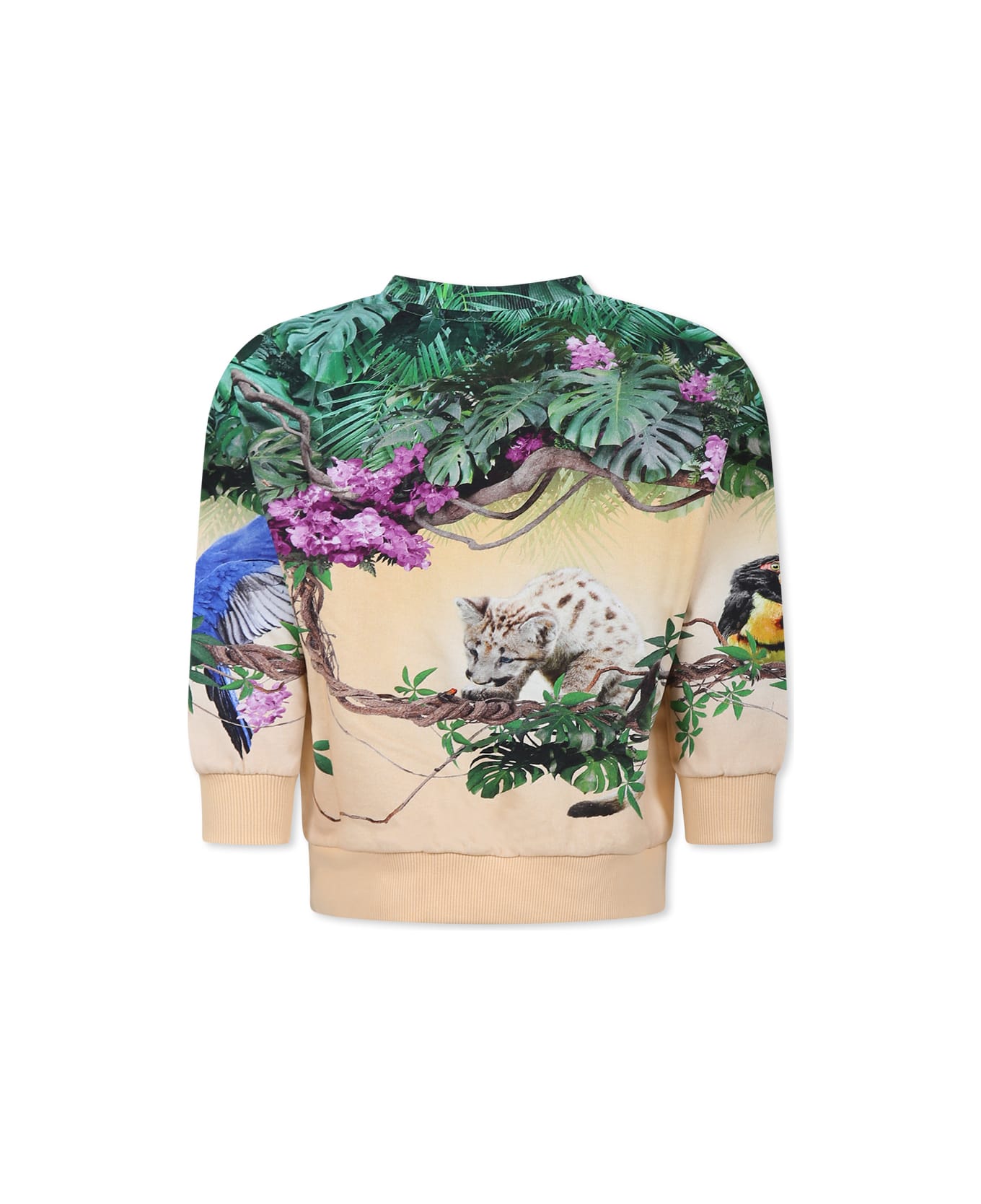 Molo Pink Sweatshirt For Girl With Puma - Pink