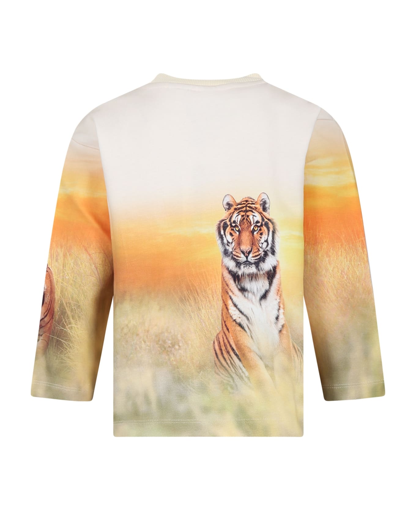 Molo Ivory Sweatshirt For Boy With Tiger Print - Ivory ニットウェア＆スウェットシャツ