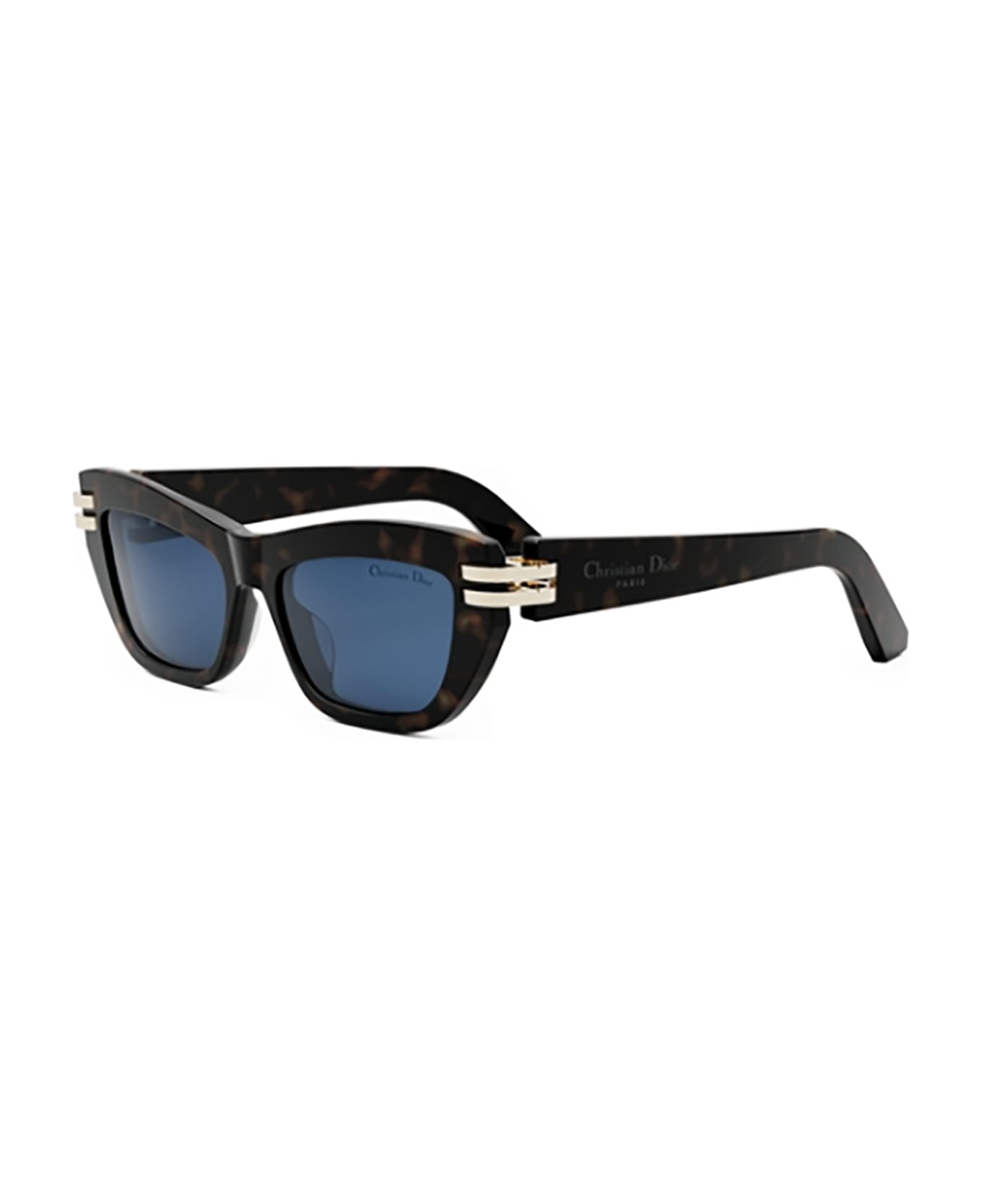 Dior Eyewear CDIOR B2U Sunglasses