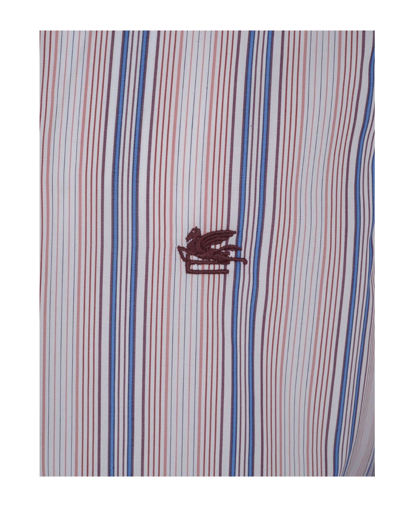 Etro Pegaso Embroidered Striped Shirt - BLUE/WHITE