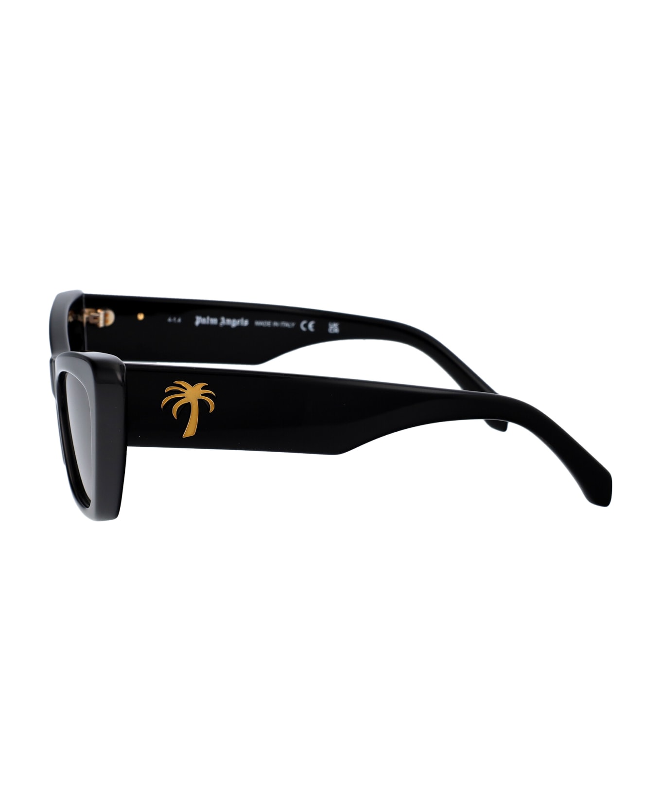 Palm Angels Fairfield Sunglasses - 1007 BLACK