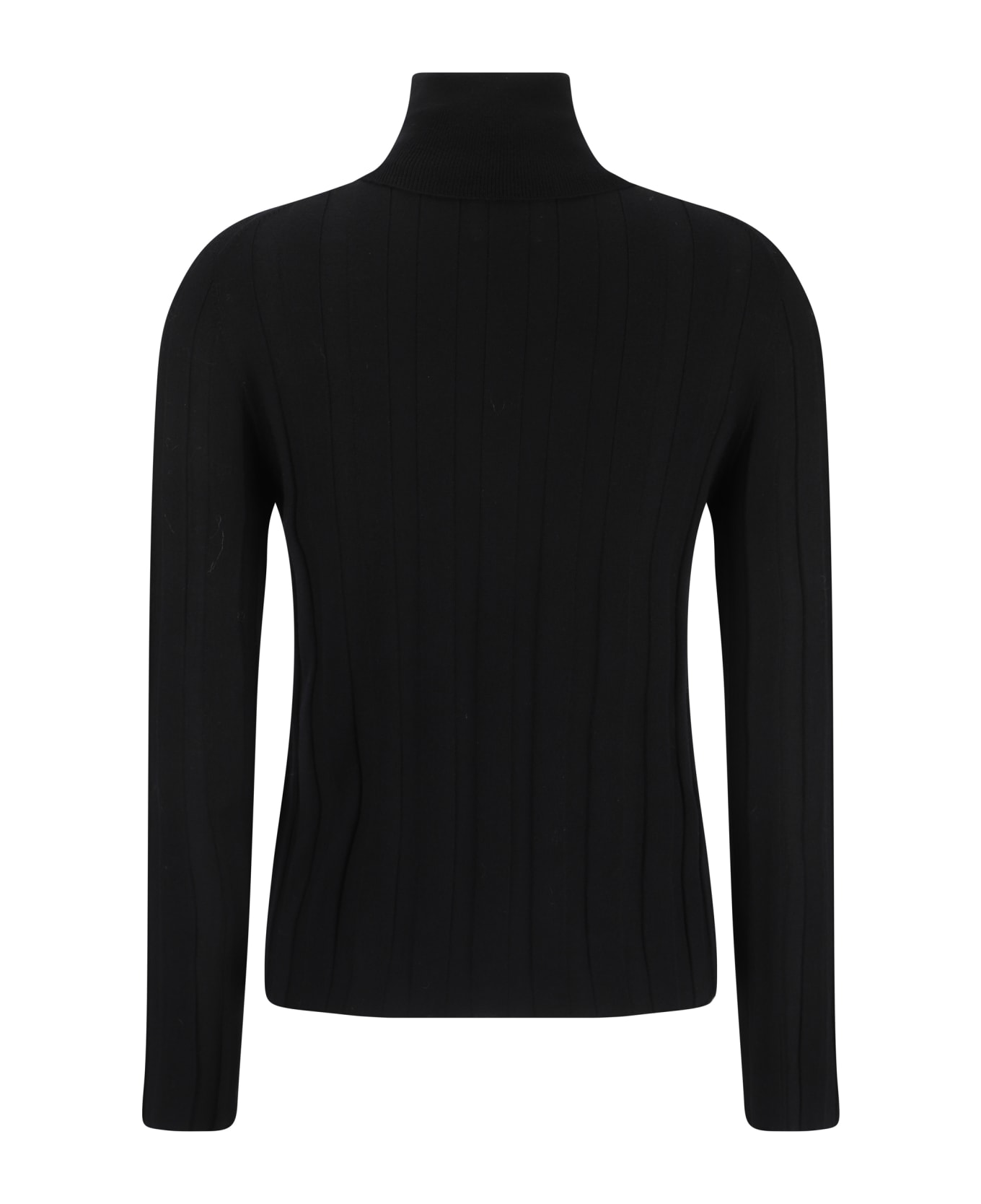 Allude Turtleneck Sweater - 490