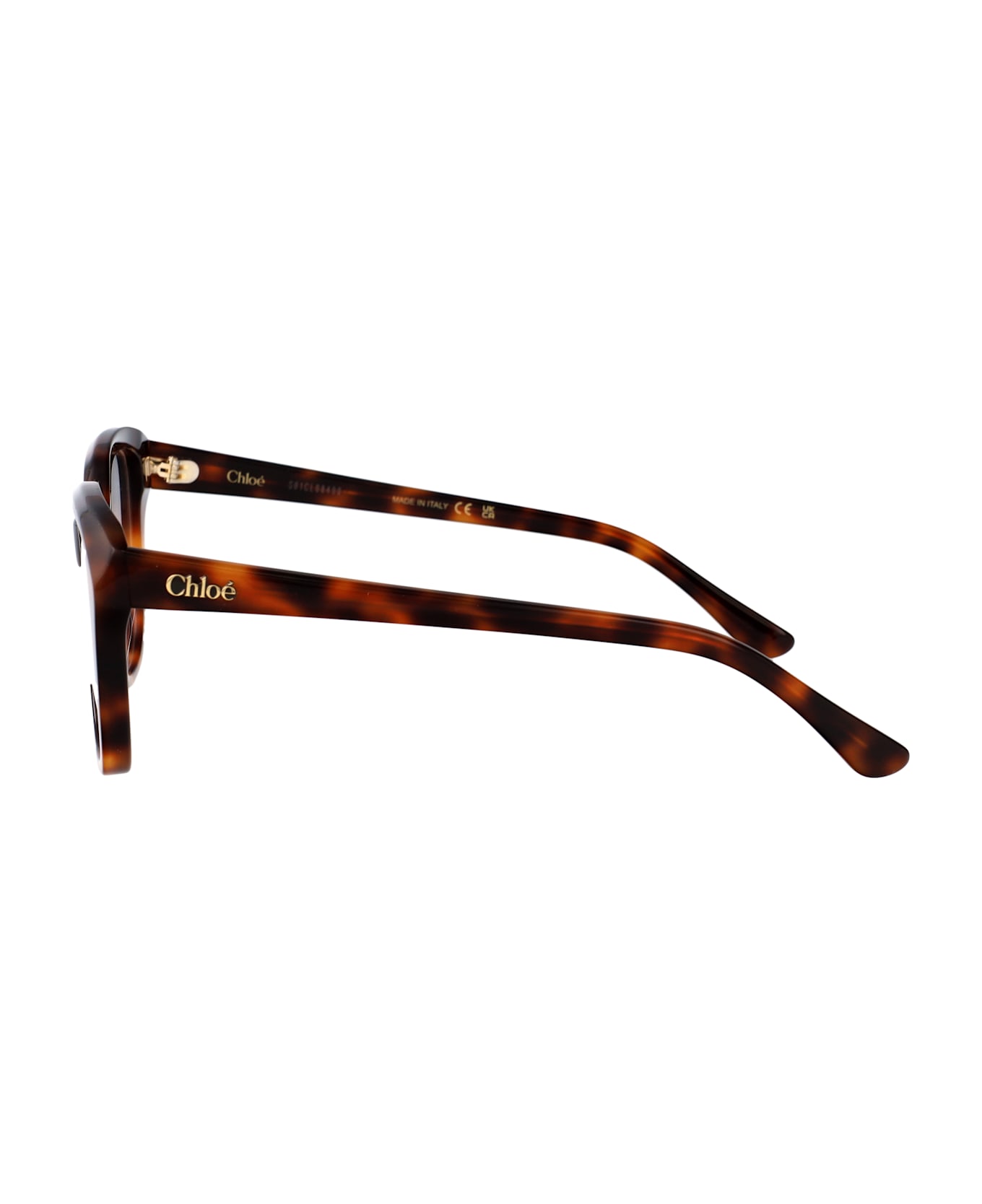 Chloé Eyewear Ch0293o Glasses - HAVANA-HAVANA-TRANSPARENT