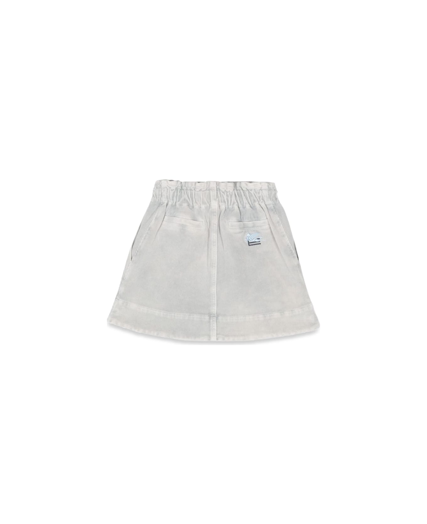 Etro Fabric Skirts - BLUE