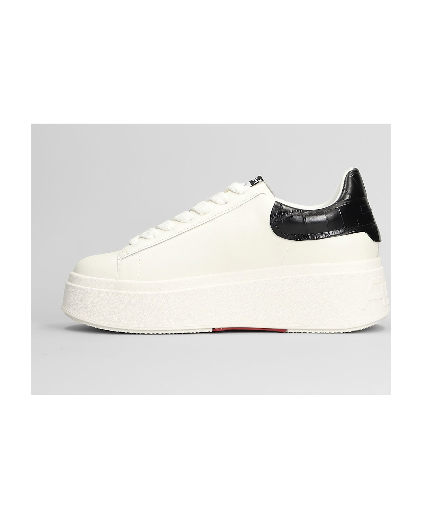 Ash Moby Sneakers In White Leather - white