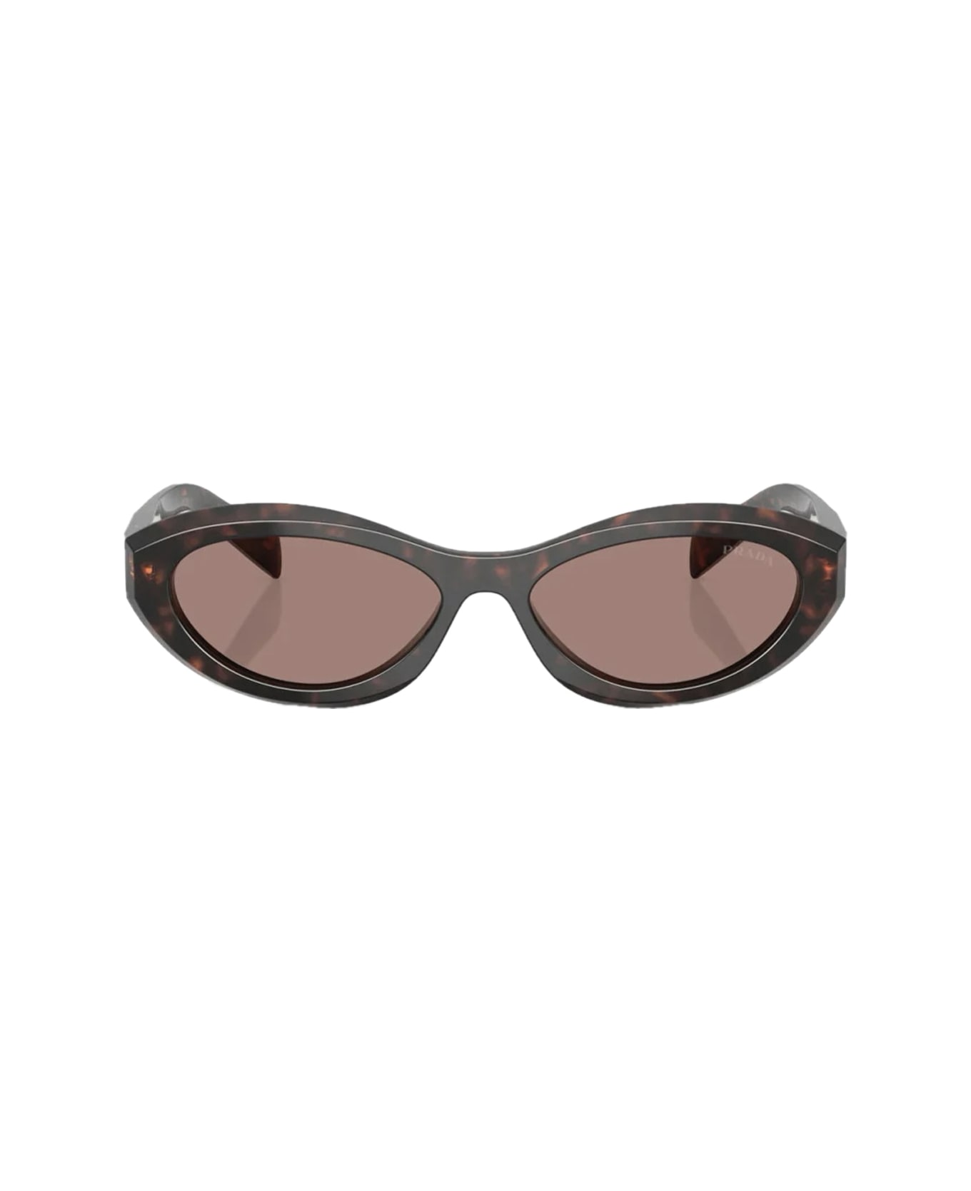 Prada Eyewear Prada Pr26zs Symbole 17n60b Havana Sunglasses - Marrone