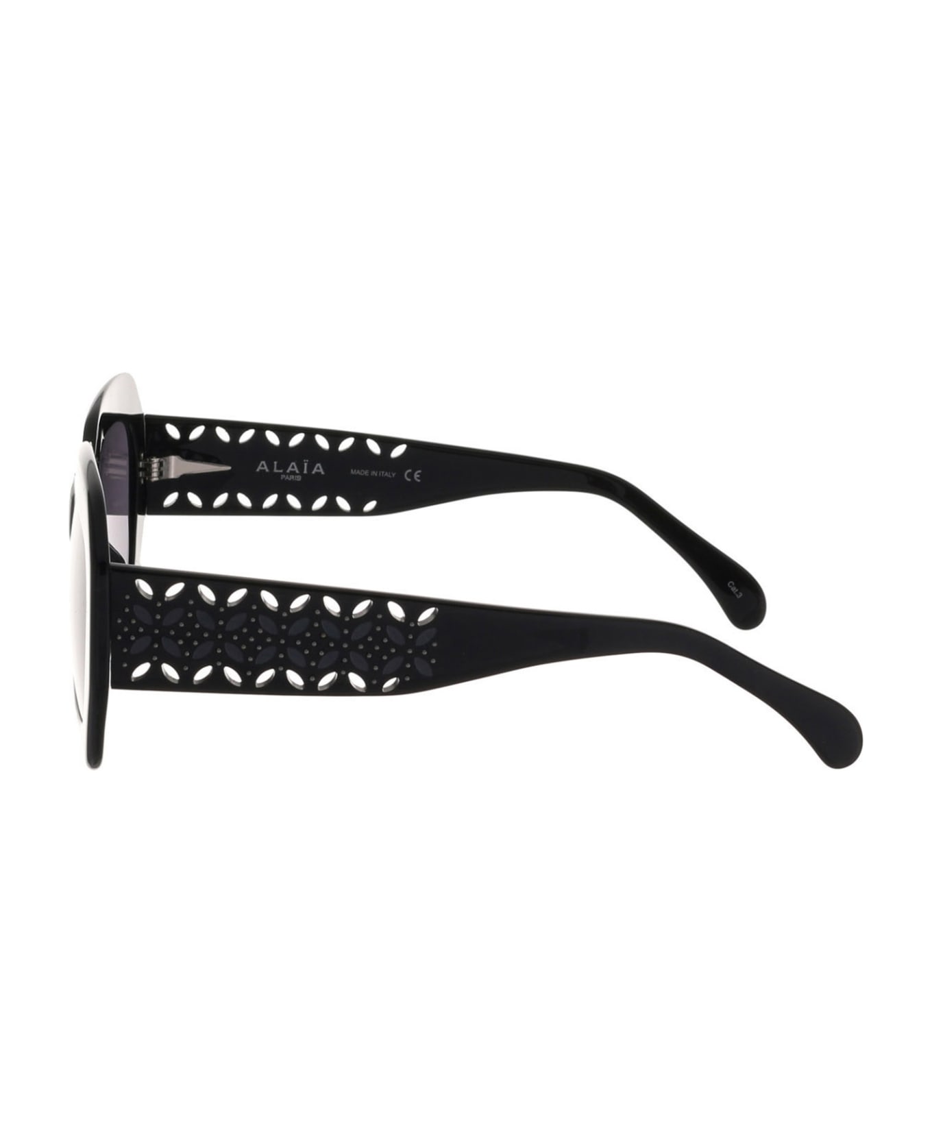 Alaia AA0041S Erika Sunglasses - Versace Eyewear VE4361 Erika Sunglasses