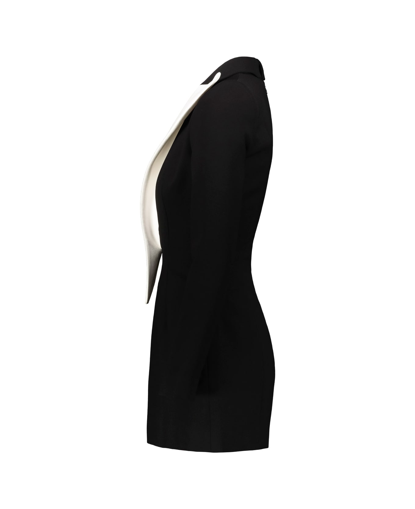 Monot Long Sleeve Dress - Black/white