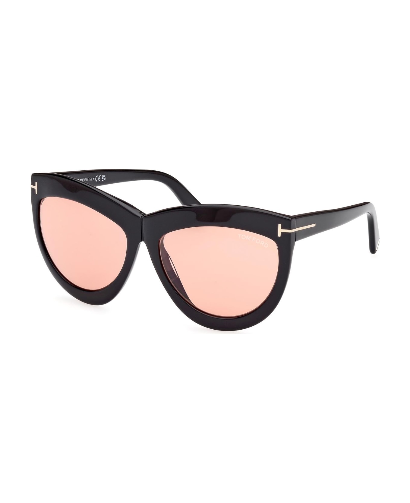 Tom Ford Eyewear Sunglasses