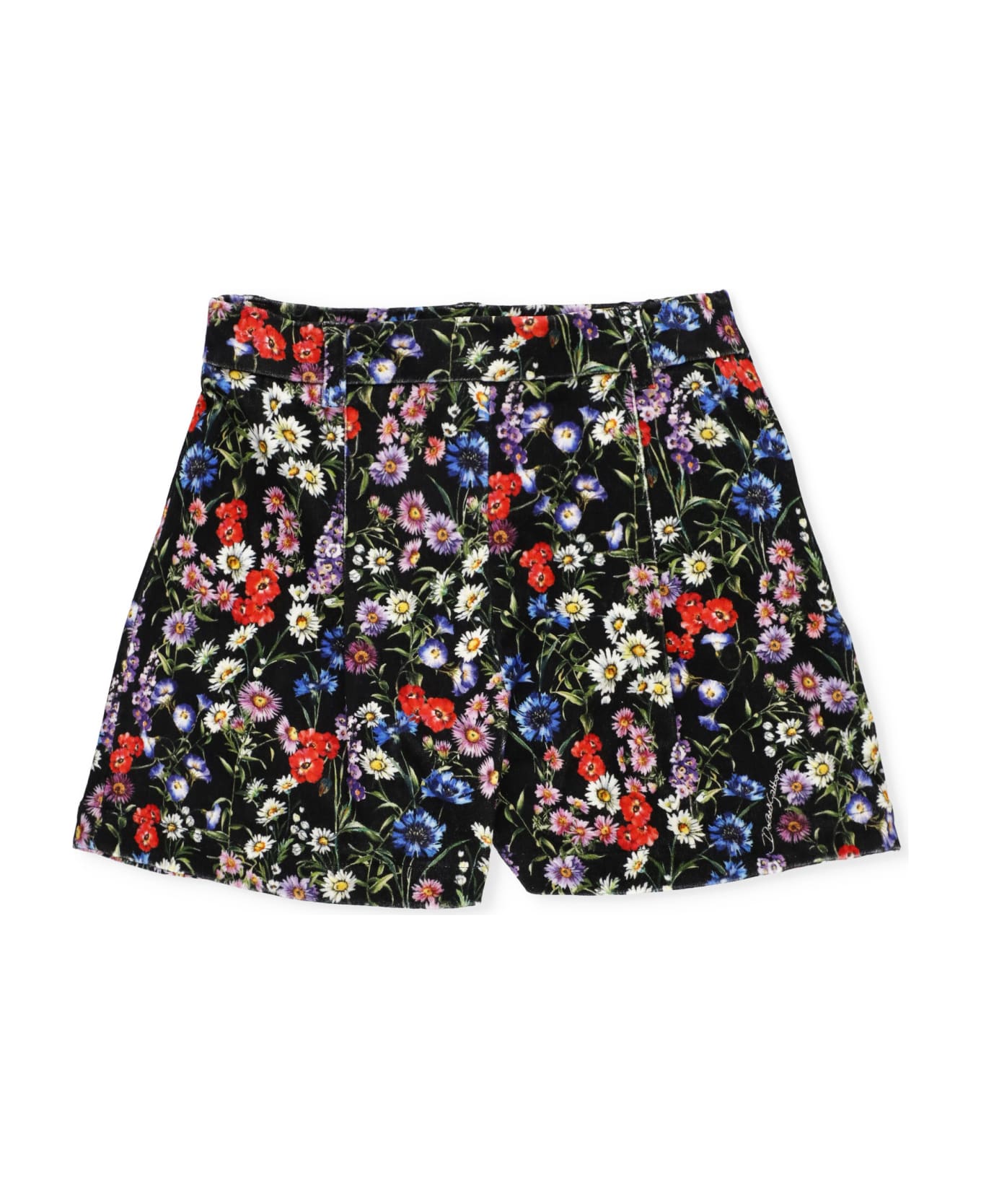 Dolce & Gabbana Velvet Shorts - MultiColour ボトムス
