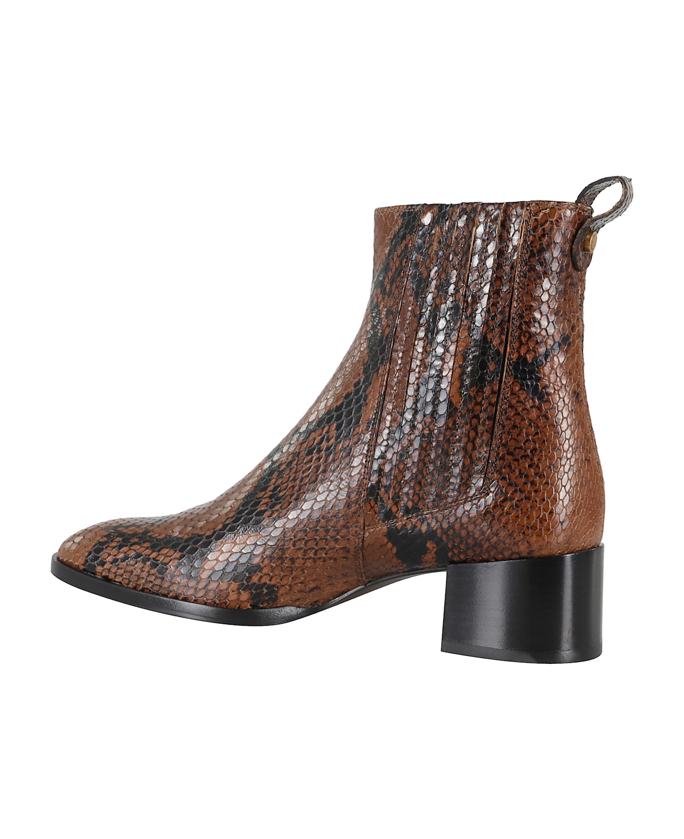 Roberto Festa Loren40 - Pitone Coffee