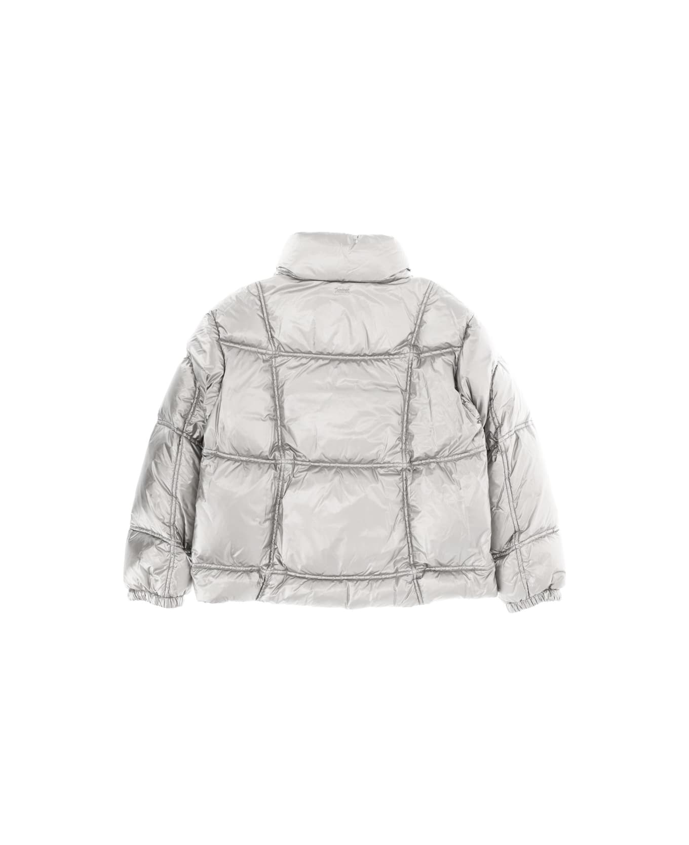 Herno Laminar "metallic Shield" Jacket - SILVER