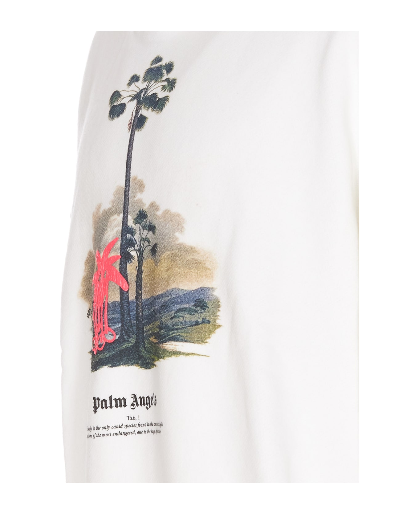 Palm Angels Douby Lost In Amazonia Hoodie - White フリース