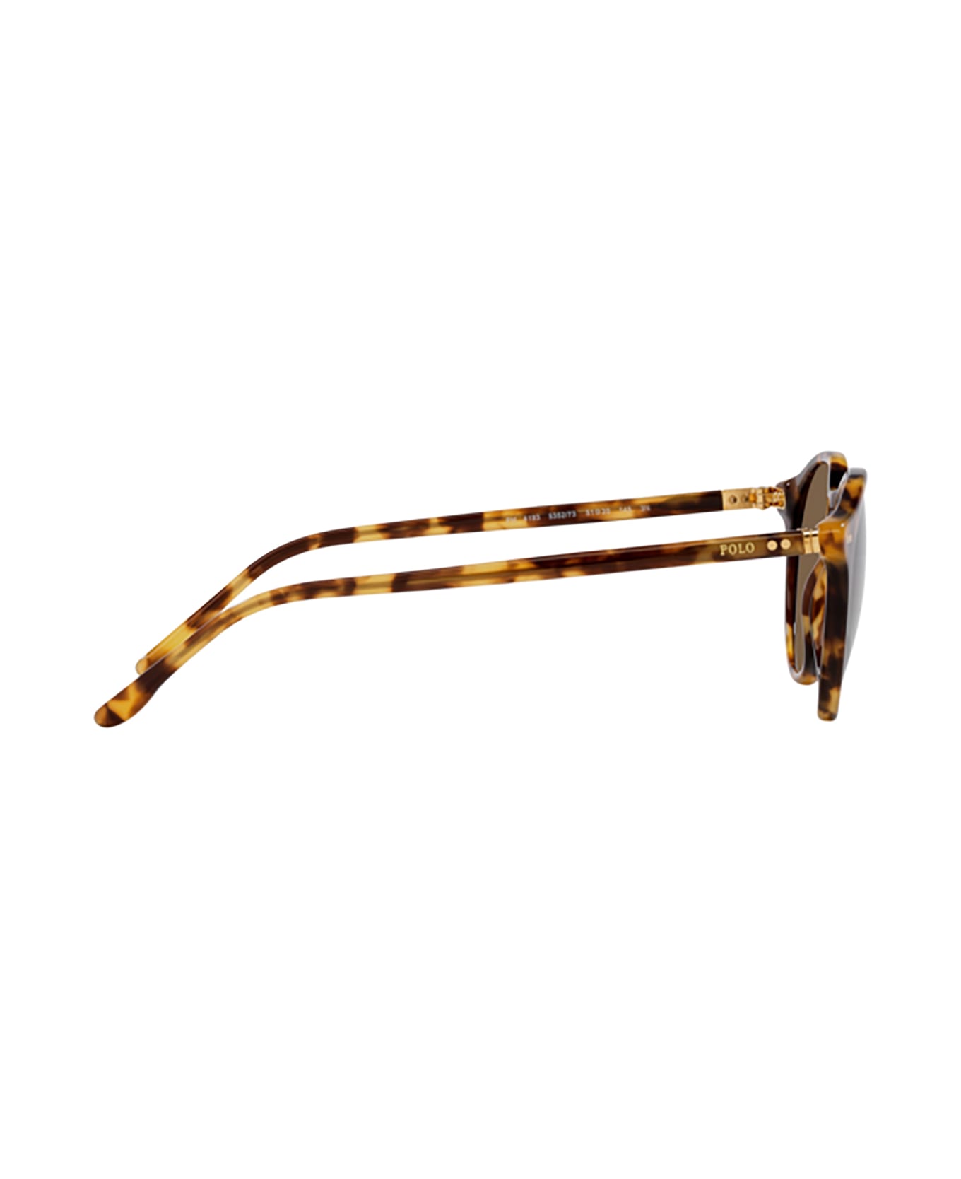 Polo Ralph Lauren Ph4193 Shiny Spotty Havana Sunglasses - Shiny spotty havana