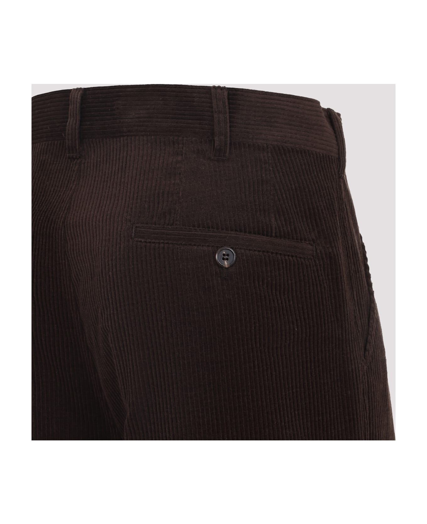 Prada Cotton Pants - Ebano