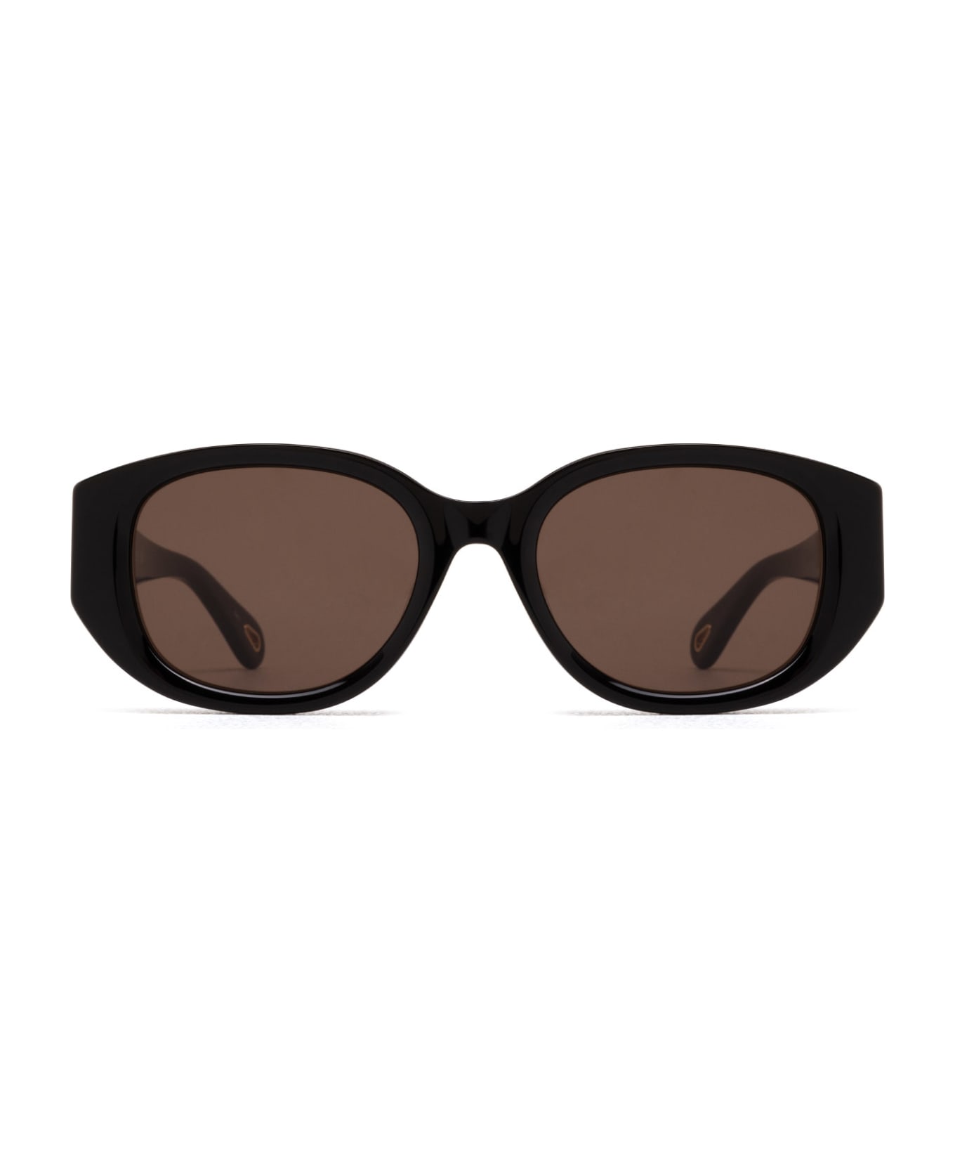 Chloé Eyewear Ch0237sk Black Sunglasses - Black サングラス
