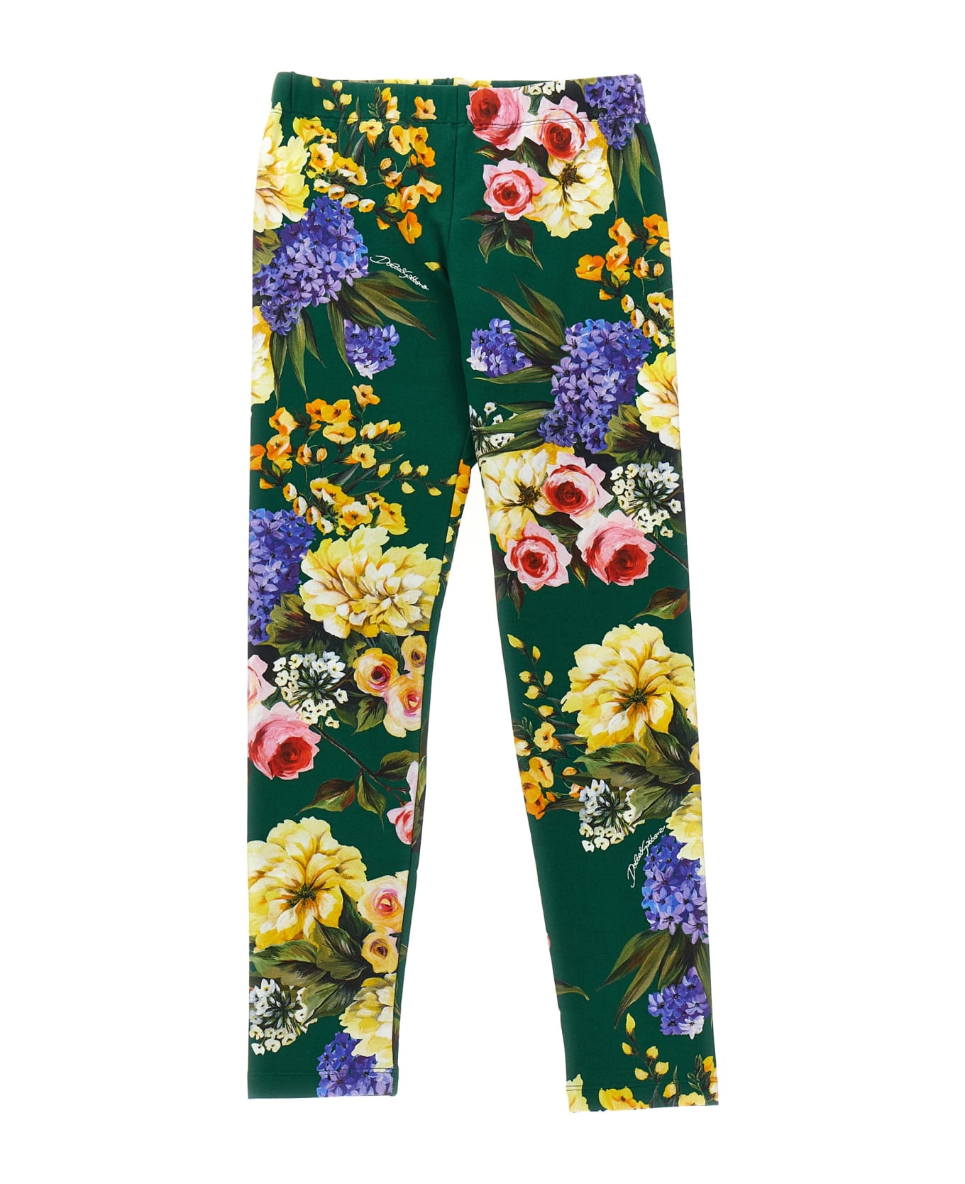 Dolce & Gabbana Floral Print Leggings - Multicolor