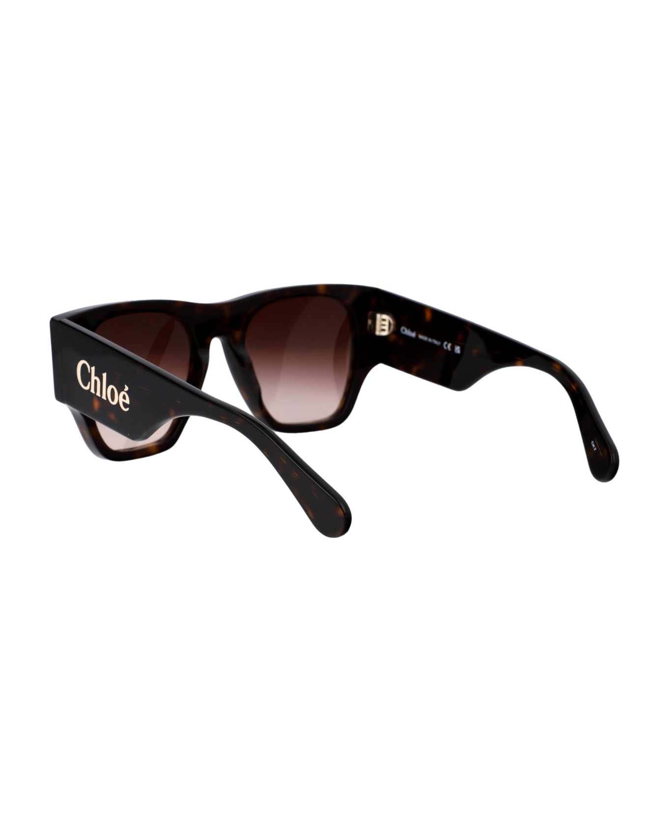 Chloé Eyewear Ch0233s Sunglasses - 002 HAVANA HAVANA BROWN