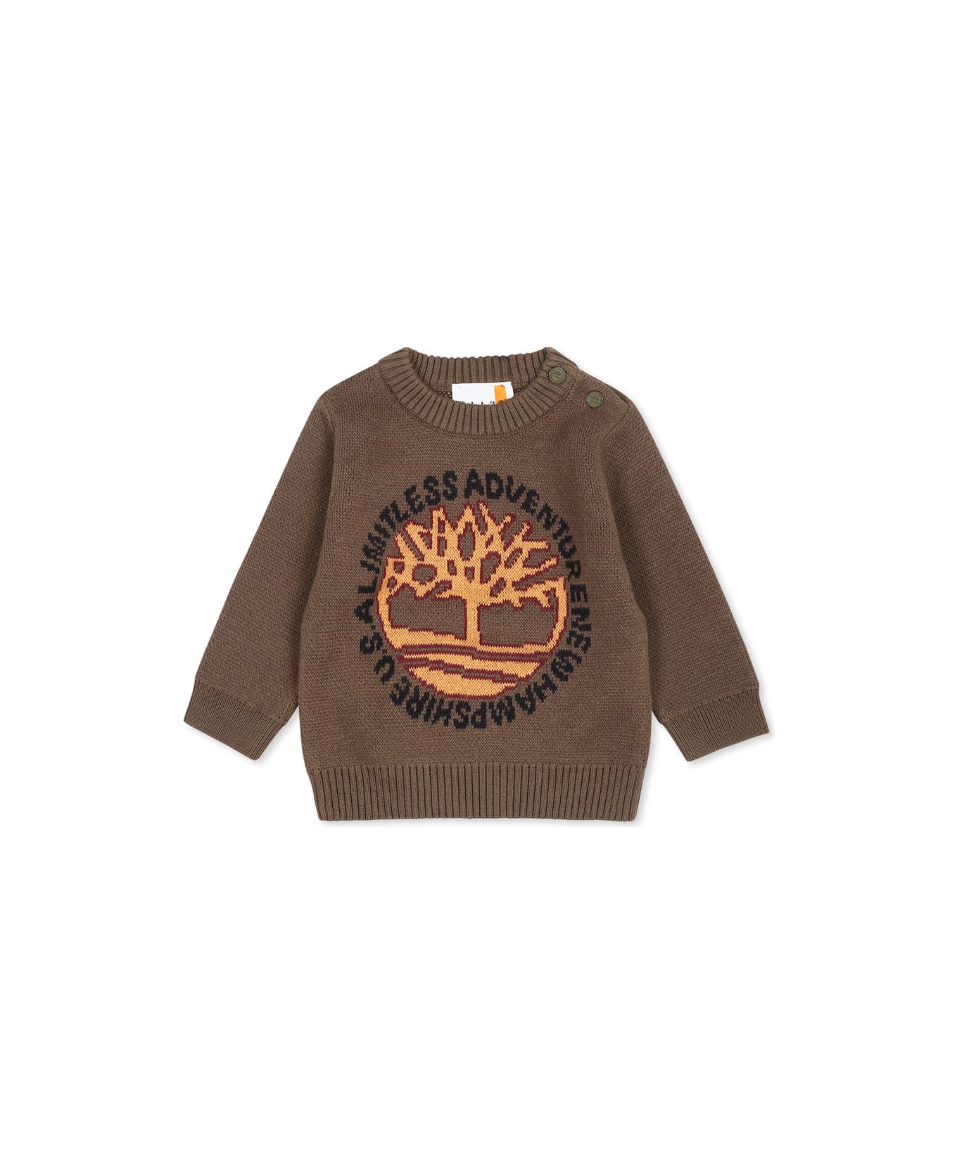 Timberland Green Sweater For Baby Boy With Logo - Green