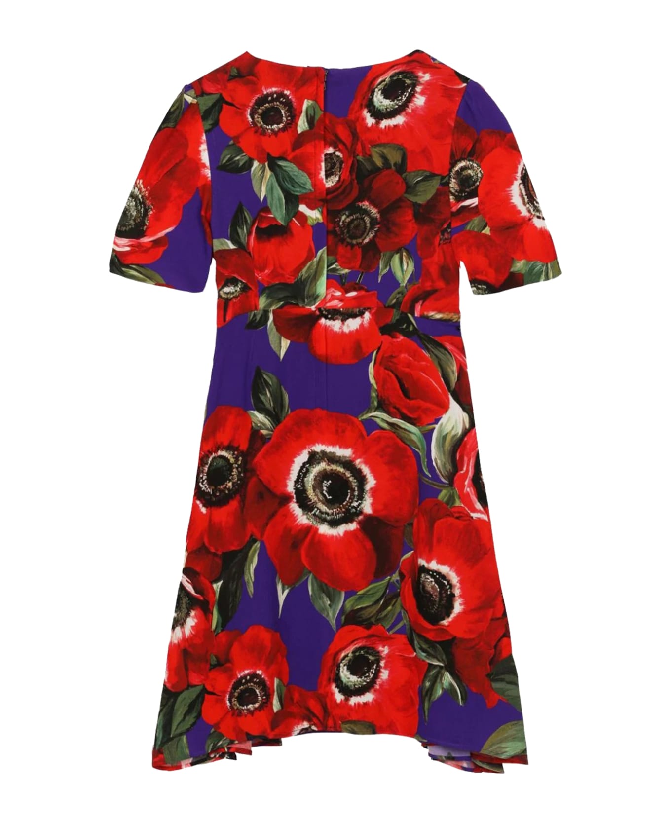 Dolce & Gabbana Anemone Midi Dress With Print - Multicolor