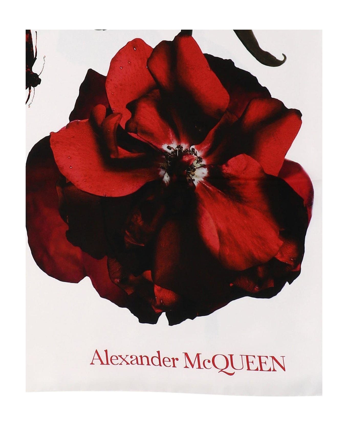 Alexander McQueen Logo Detailed Rose Printed Scarf - WHITE