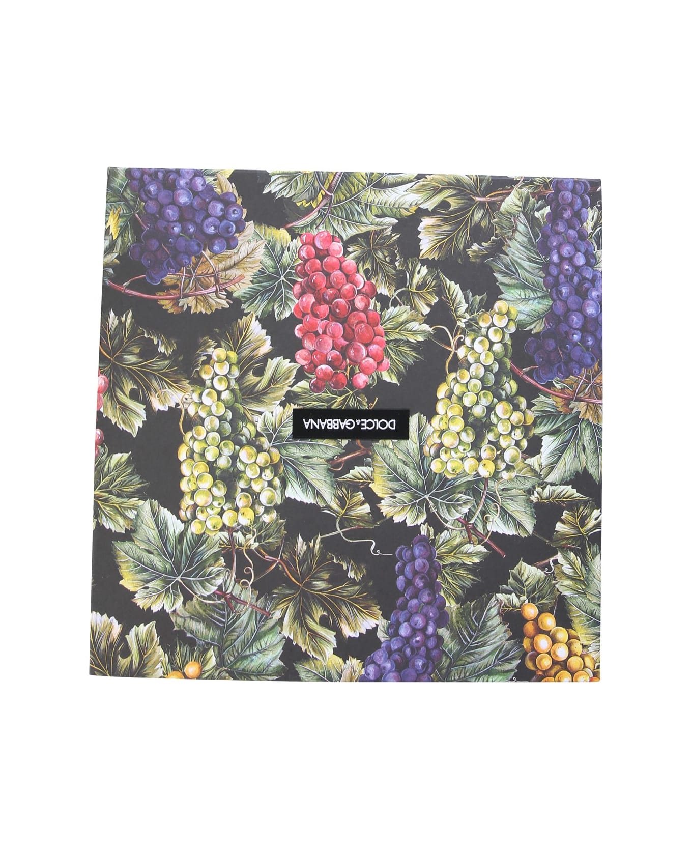 Dolce 
Gabbana Scarf With Logo - MULTICOLOR