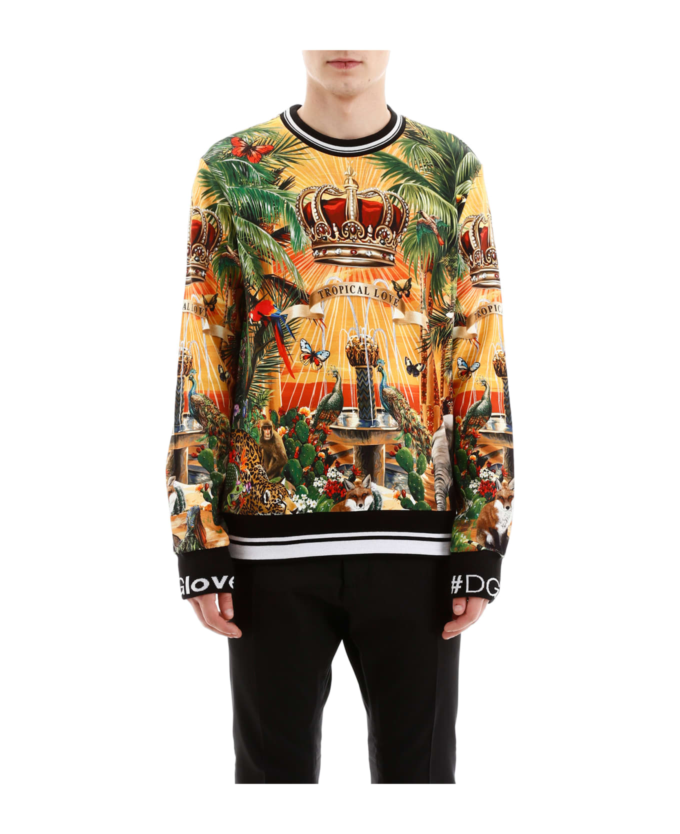 Dolce & Gabbana Tropico Dg King Sweatshirt | italist, ALWAYS LIKE A SALE