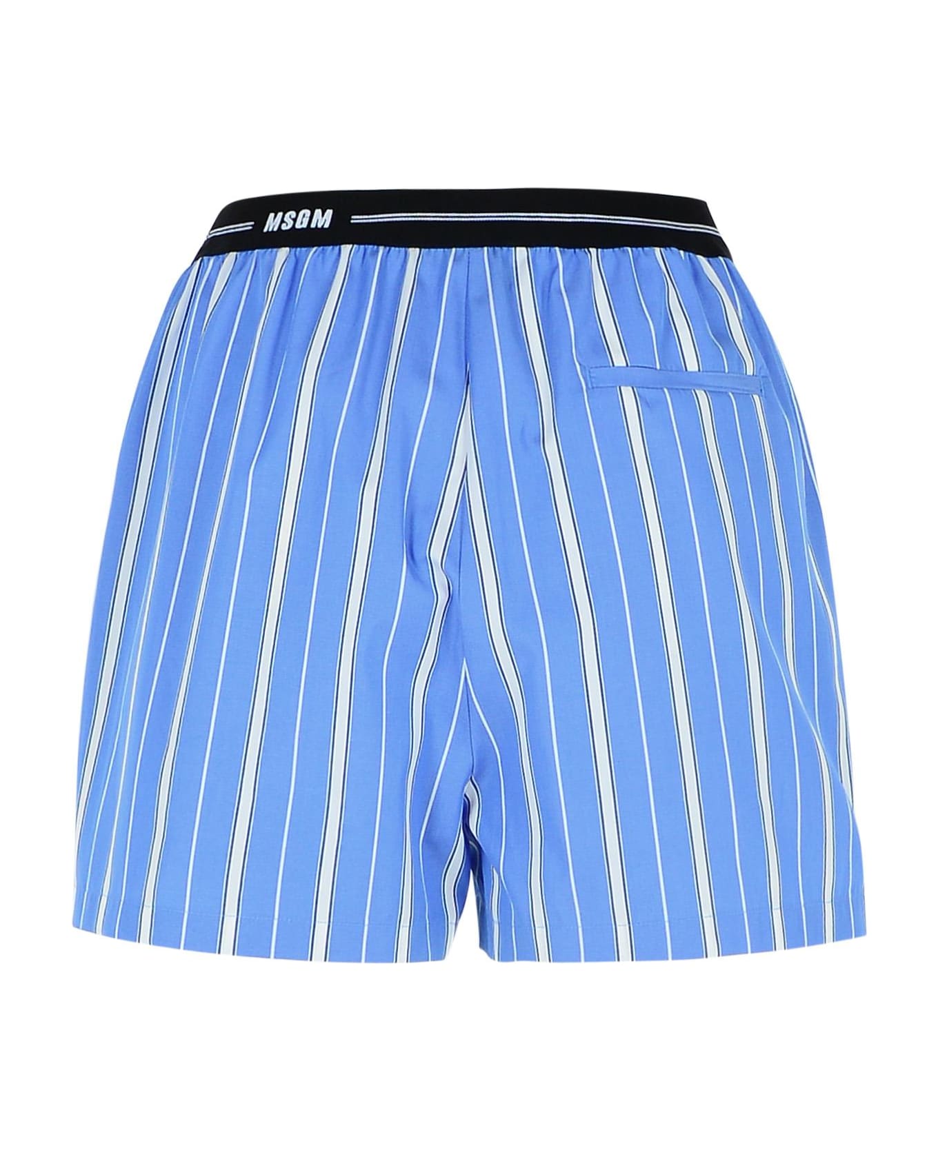MSGM Cotton Shorts - Blue