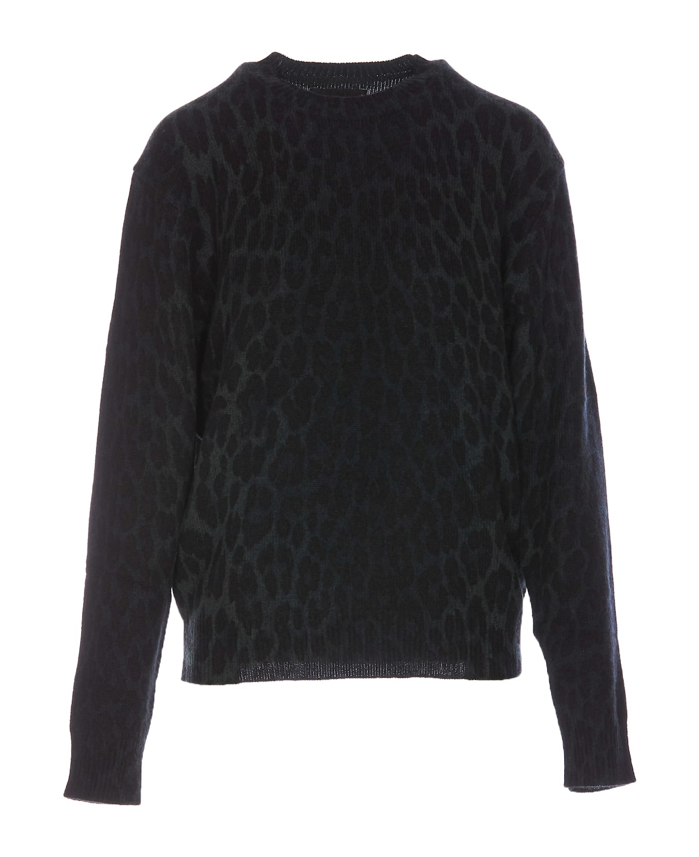 Zadig & Voltaire Pravis Sweater With Leo Print - Green