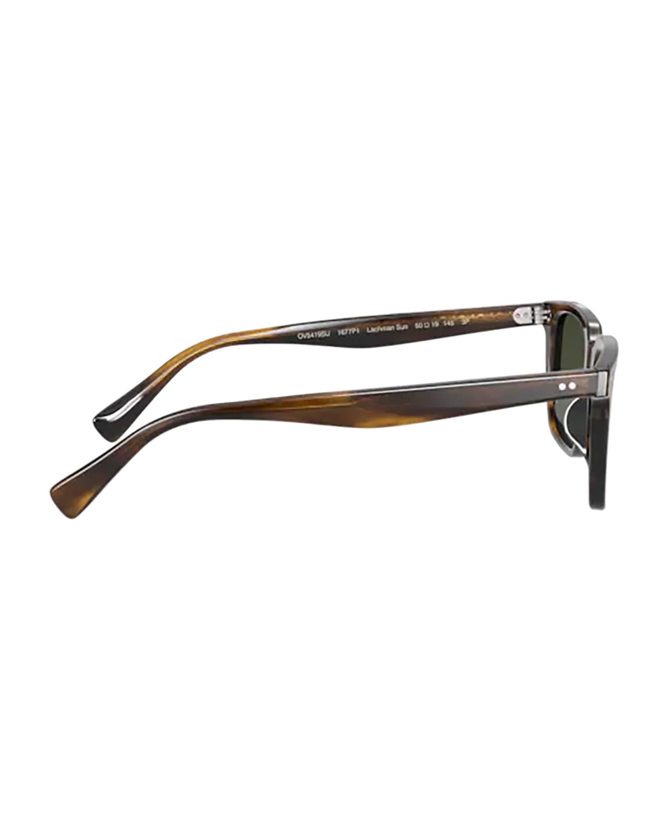 Oliver Peoples Ov5419su Bark Sunglasses - Bark サングラス