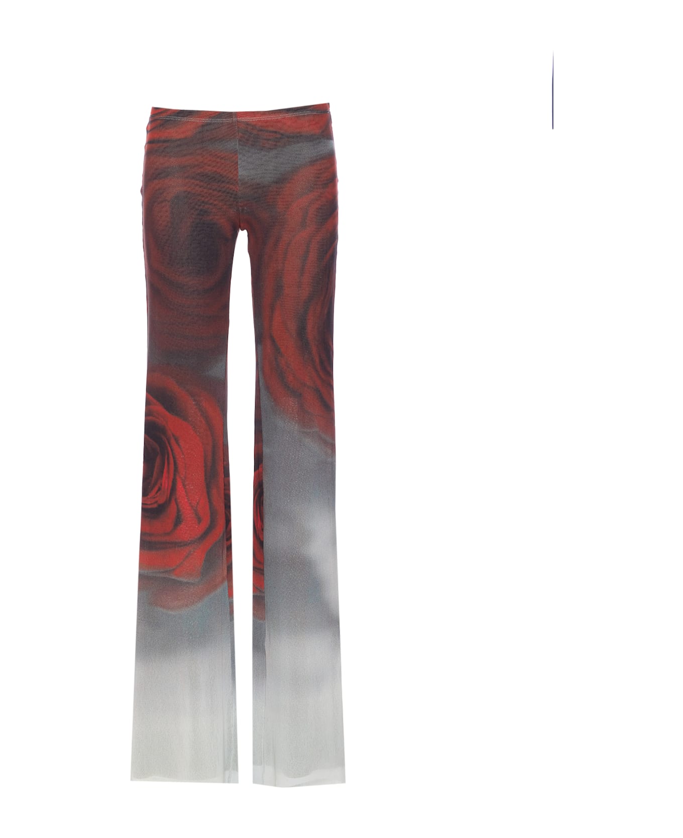 Jean Paul Gaultier Blurry Roses Pants - Red