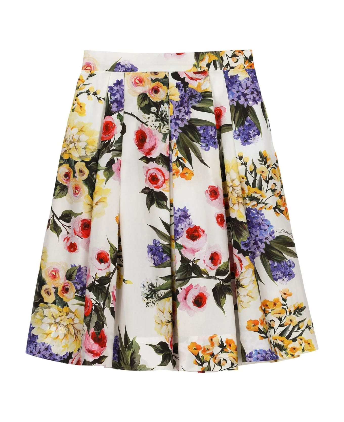 Dolce & Gabbana Skirts Multicolour - MultiColour