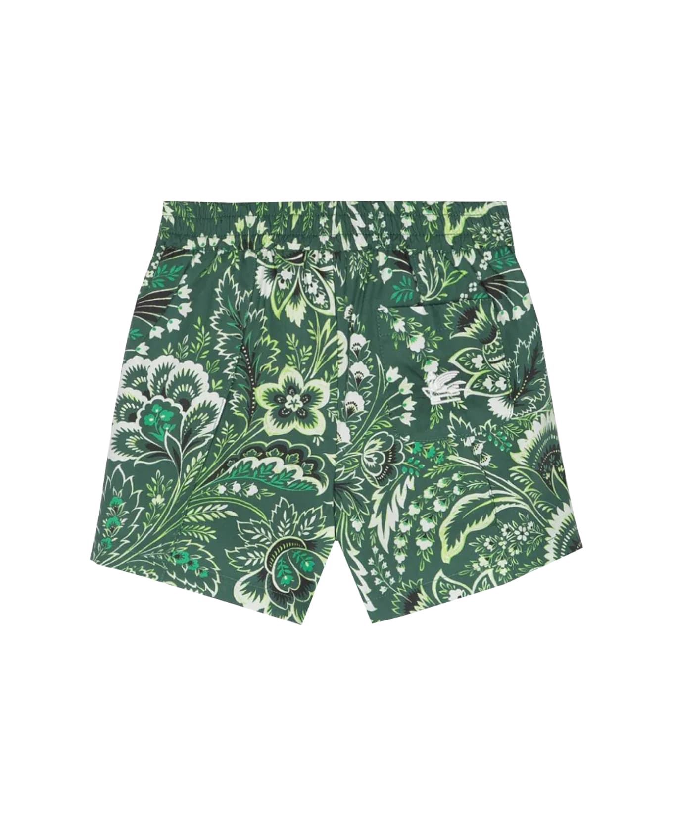 Etro Monochrome Paisley Bermuda Shorts - Green